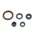 ENGINE OIL SEALS KIT