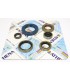 ENGINE OIL SEALS KIT