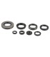 ENGINE OIL SEALS KIT