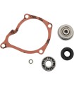 REPAIR KIT WATER PUMP POL