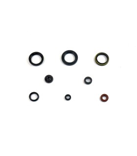 ENGINE OIL SEALS KIT