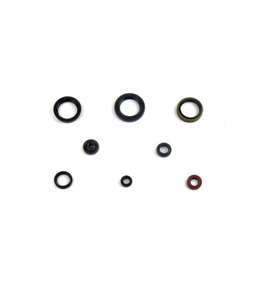 ENGINE OIL SEALS KIT