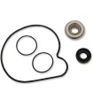 KIT DE RÉPARATION POMPE À EAU POL