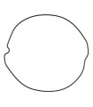CLUTCH COVER GASKET HONDA