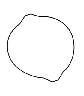 CLUTCH COVER GASKET YAMAH