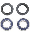 WHEEL BEARING KIT 25-1273