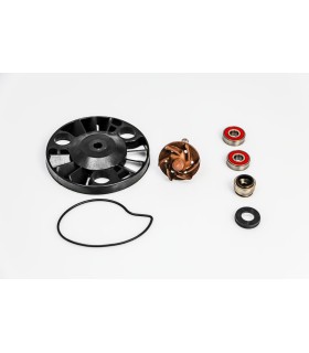REPAIR KIT WATER PUMP GIL