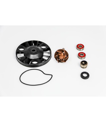 REPAIR KIT WATER PUMP GIL