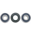 WHEEL BRG KIT-FRT
