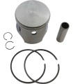 PISTON KIT POL STD