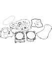 GASKET CMP W/OS KAW KX450
