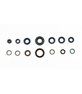 ENGINE OIL SEALS KIT