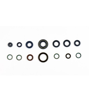 ENGINE OIL SEALS KIT