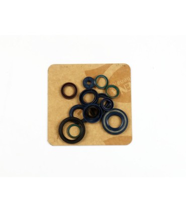 ENGINE OIL SEALS KIT