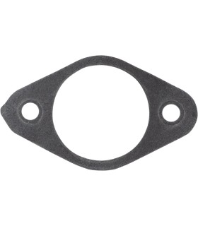 EXHAUST GASKET APR