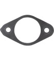 EXHAUST GASKET APR