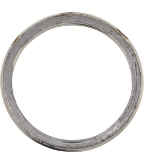 EXHAUST GASKET APR