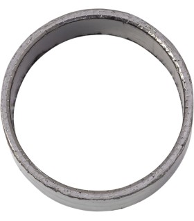 EXHAUST GASKET APR