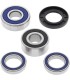 BEARING KIT WHL 25-1383