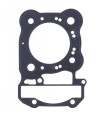 GASKET CYLINDERHEAD HON