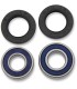 BEARINGFR WHEEL-POL/AC