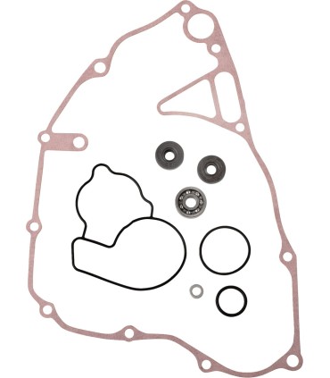 REPR KT WTRPMP KX250F 09