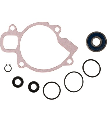 REPAIR KT WTRPUMP 250EXC