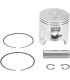 PISTON KIT POL STD