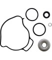 REPAIR KIT WTERPUMP CANAM