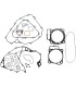GASKET SET COMPL CRF450