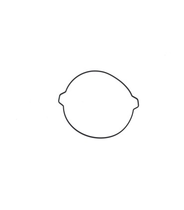 CLTCH CVR GSKT SX125 16-23