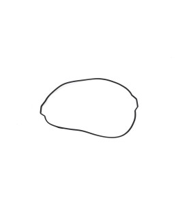 CLUTCH CVR GASKET SXF250