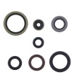 ENGINE OIL SEALS KIT