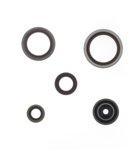 ENGINE OIL SEALS KIT