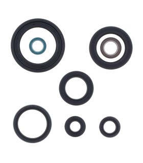 ENGINE OIL SEALS KIT