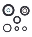 ENGINE OIL SEALS KIT