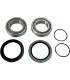 BEARING KIT WHEEL RR