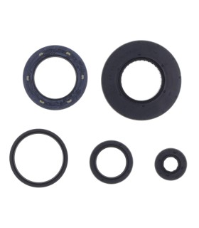 ENGINE OIL SEALS KIT