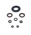 ENGINE OIL SEALS KIT