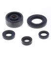 ENGINE OIL SEALS KIT