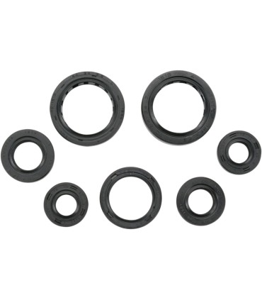 SEAL-KIT OIL -350 RNCHR