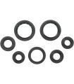 SEAL-KIT OIL -350 RNCHR
