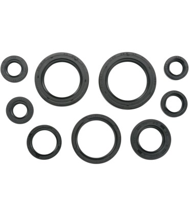 SEAL-KIT OIL-TRX450R