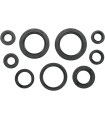 SEAL-KIT OIL-TRX450R