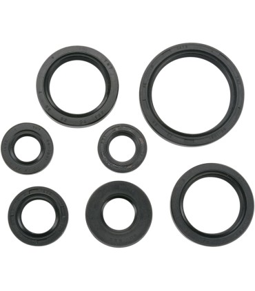 SEAL-KIT OIL-YFM660 RAPT