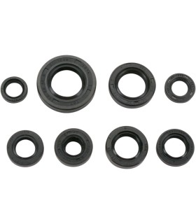 SEAL-KIT OIL-CR85R