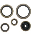 SEAL-KIT OIL-SX/EXC