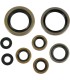 OIL-SEALSEXC/SX/MXC