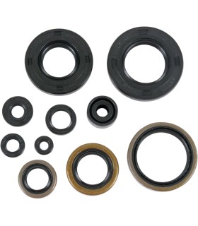 OIL-SEALSKX/KDX250