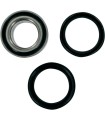 BEARING WHEEL KT RR SUZ